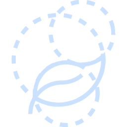 usługi projektowania stron internetowych